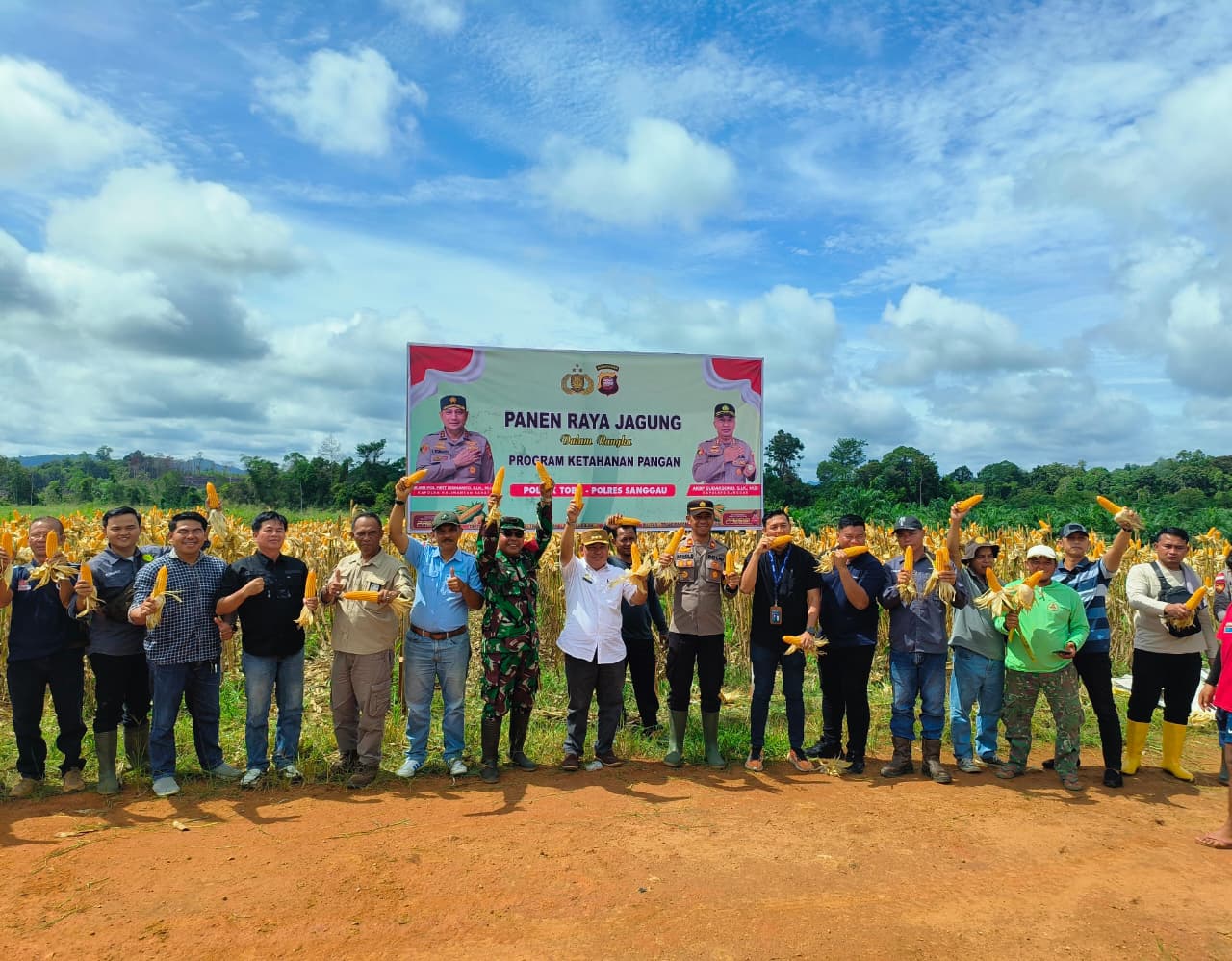 Read more about the article Panen Demplot I Jagung Hibrida di Kecamatan Toba Wujudkan Ketahanan Pangan Nasional